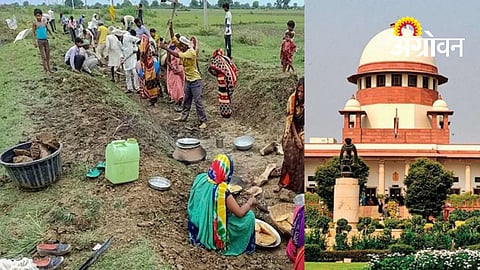 Beed MGNREGA Case Gets Court Intervention