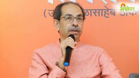 Uddhav Thackeray, Crop Damage