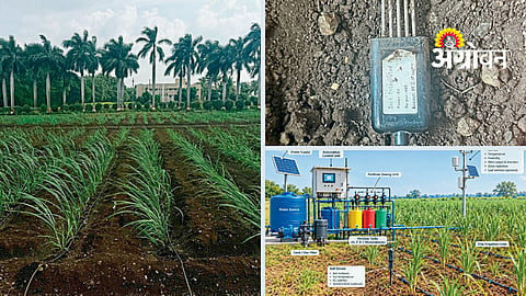 Sugarcane Water Management