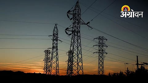 Atpadi Farmers Struggle To Save Crops Amid Power Shortages