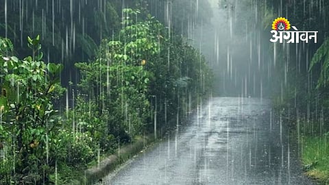 Rain Update