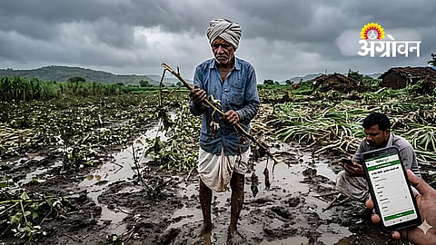 E-crop Survey