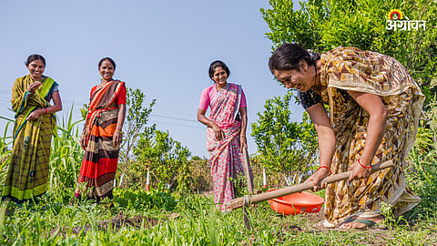 Women Farmer Certificate