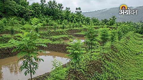 Monsoon care tips for farm water conservation works