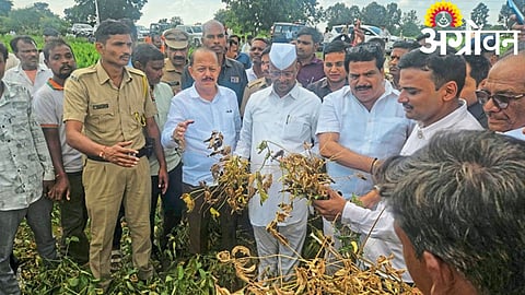 Crop Compensation 