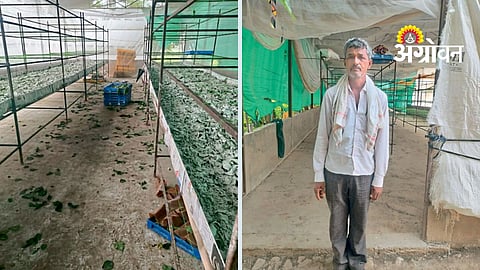 Sericulture Farmer Success Story