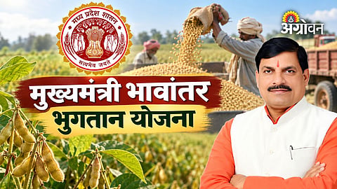 Madhya Pradesh reintroduces Bhavantar scheme for soybean