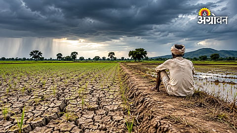 Monsoon rainfall outlook for Indian agriculture