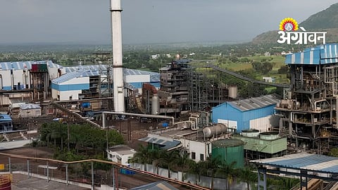 Sugar Industry