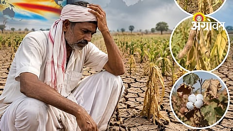 Crop Damage