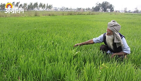 Rabi 2026 Sowing