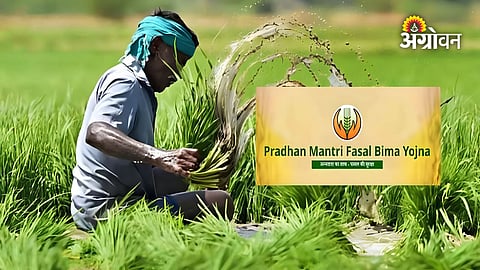 Crop Insurance