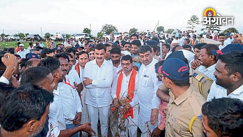 Agriculture minister field inspection of crops