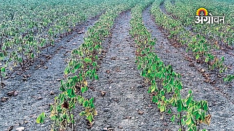 Monsoon Dry Spell