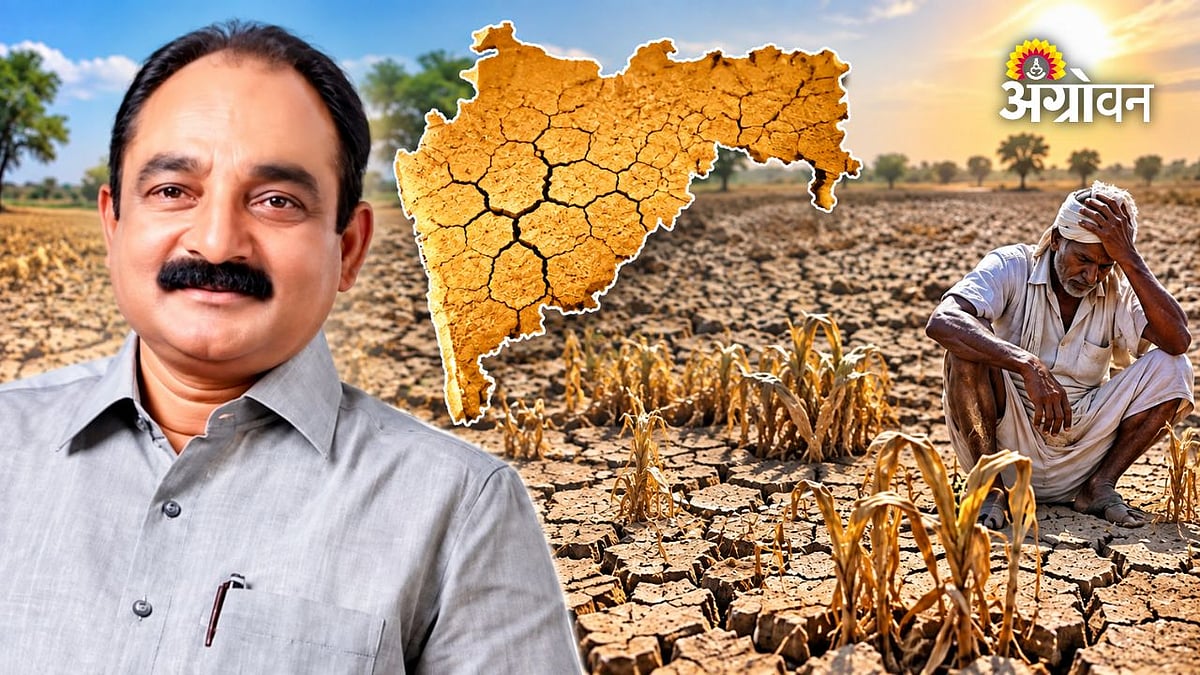 दुष्काळ निर्णय ऑक्टोबरमध्ये; शरद पवारांचा २८ सप्टेंबरपासून दौरा