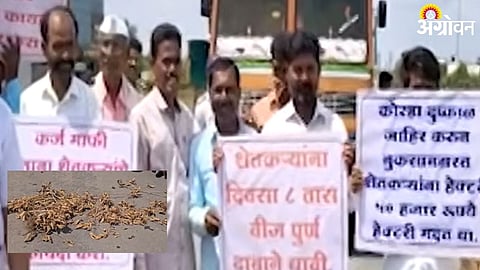 Dharashiv Farmers Protest
