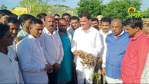 Farmer Support