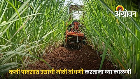 Water Management During Sugarcane Earthing Up