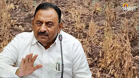 Maharashtra Drought