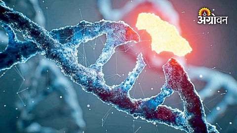 Four more letters added to DNA genetic alphabet