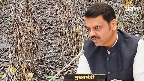 Maharashtra Cabinet Decisions