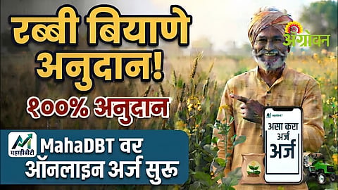 Rabi Season