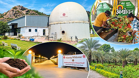 Organic waste management and energy production