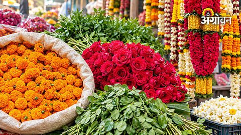 Jalgaon flower market during Ganeshotsav