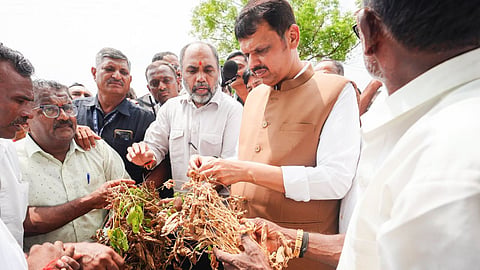 Maharashtra Drought