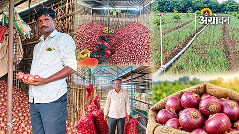 onion storage facilities for farmers