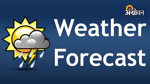 Importance of historical weather forecast data