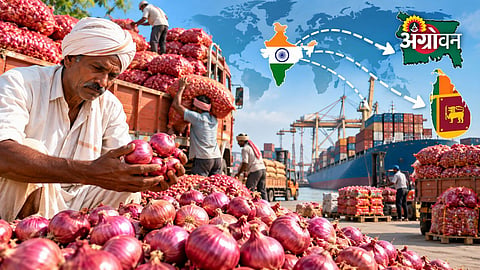 Indian onion supply chain and exports