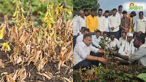 Marathwada Drought