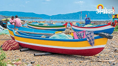 Rough Seas Leave Shrivardhan Fishermen Facing Financial Crisis