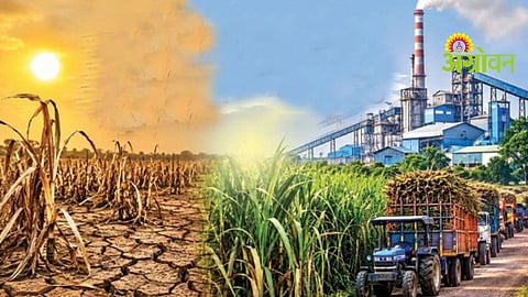 Sugarcane Crushing Season