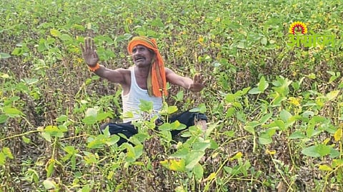 Soybean Crop Loss