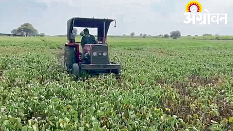 Farmer Crisis 