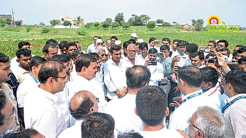 Crop Damage Inspection