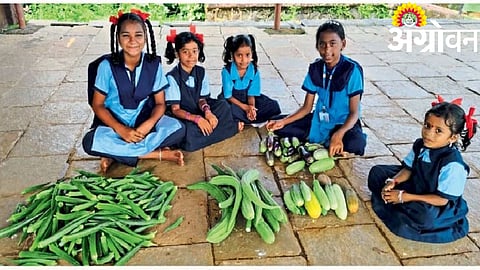 Organic Gardening 