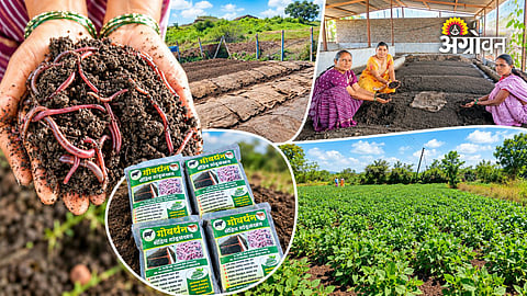 Successful vermicompost business by woman farmer