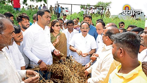 Makarand Patil farmer assistance instructions