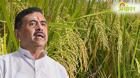 Farmer Subsidy
