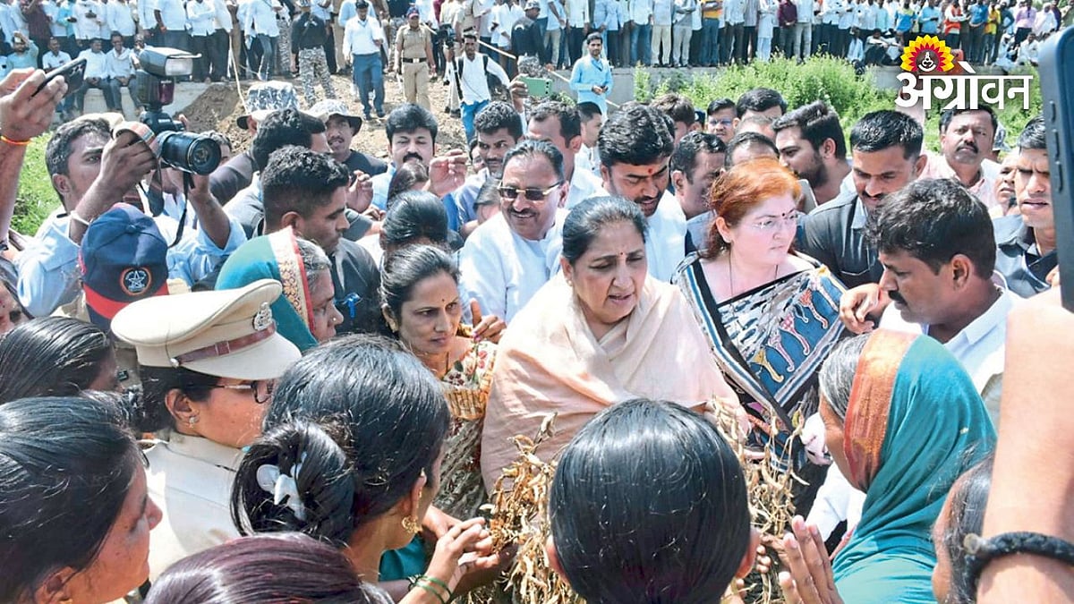 मराठवाड्यात पीक नुकसानीची पाहणी, मदतीची ग्वाही
