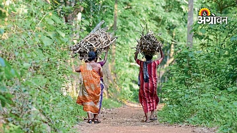 Women farmers and agricultural biodiversity conservation
