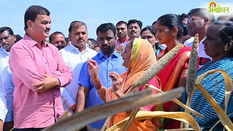 Maharashtra Drought