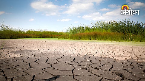 Drought declared in 265 out of 358 talukas