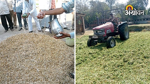 Fodder Planning