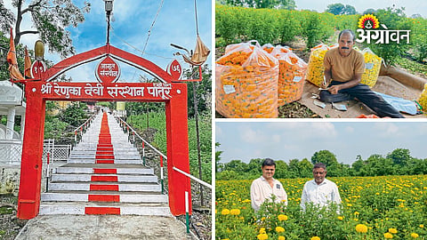 Flower Growers