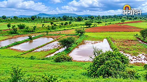 Digital watershed mapping for water conservation