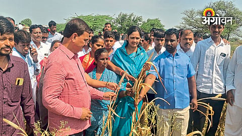 Maharashtra Agriculture Minister on farmer crisis